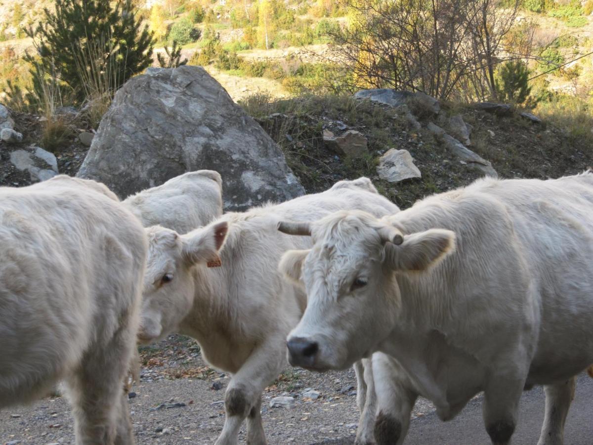 Casa Rural Borda Marianet 塞尔勒 外观 照片