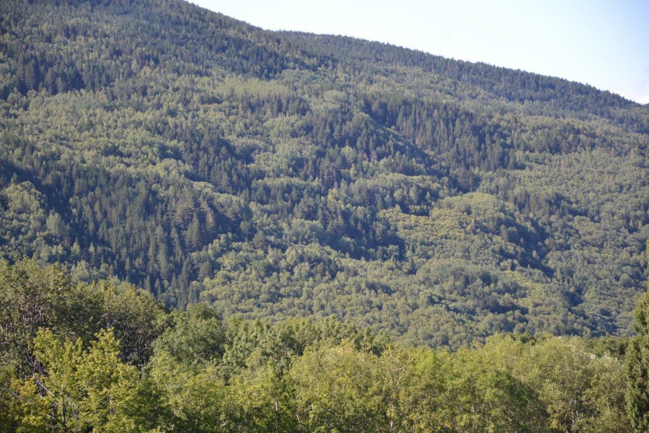 Casa Rural Borda Marianet 塞尔勒 外观 照片